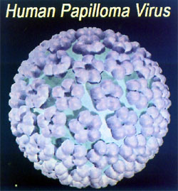 virus-hpv